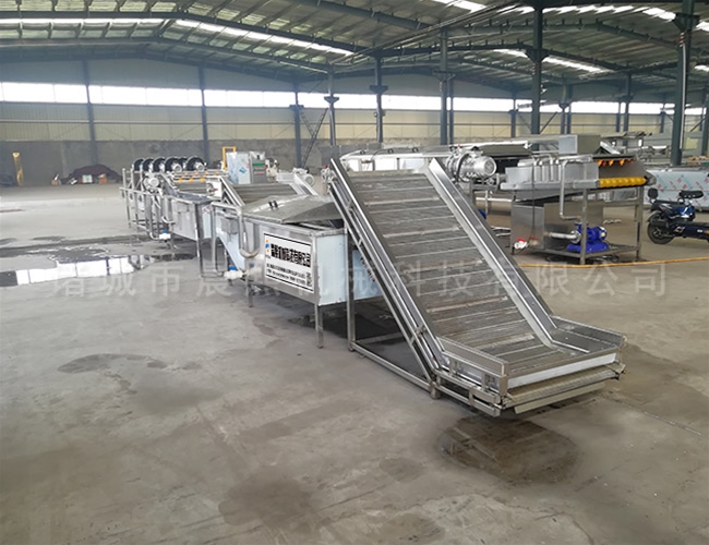 橄欖毛輥清洗機