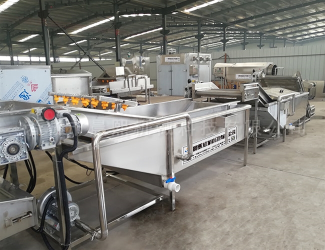 圣女果清洗機(jī) 圣女果清洗設(shè)備 圣女果清洗流水線(xiàn)